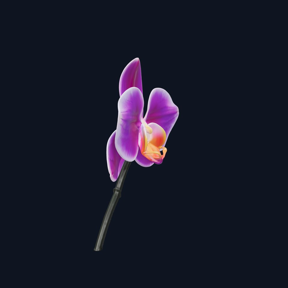 Cattleya Orchid Elegance Velvet Texture model pack